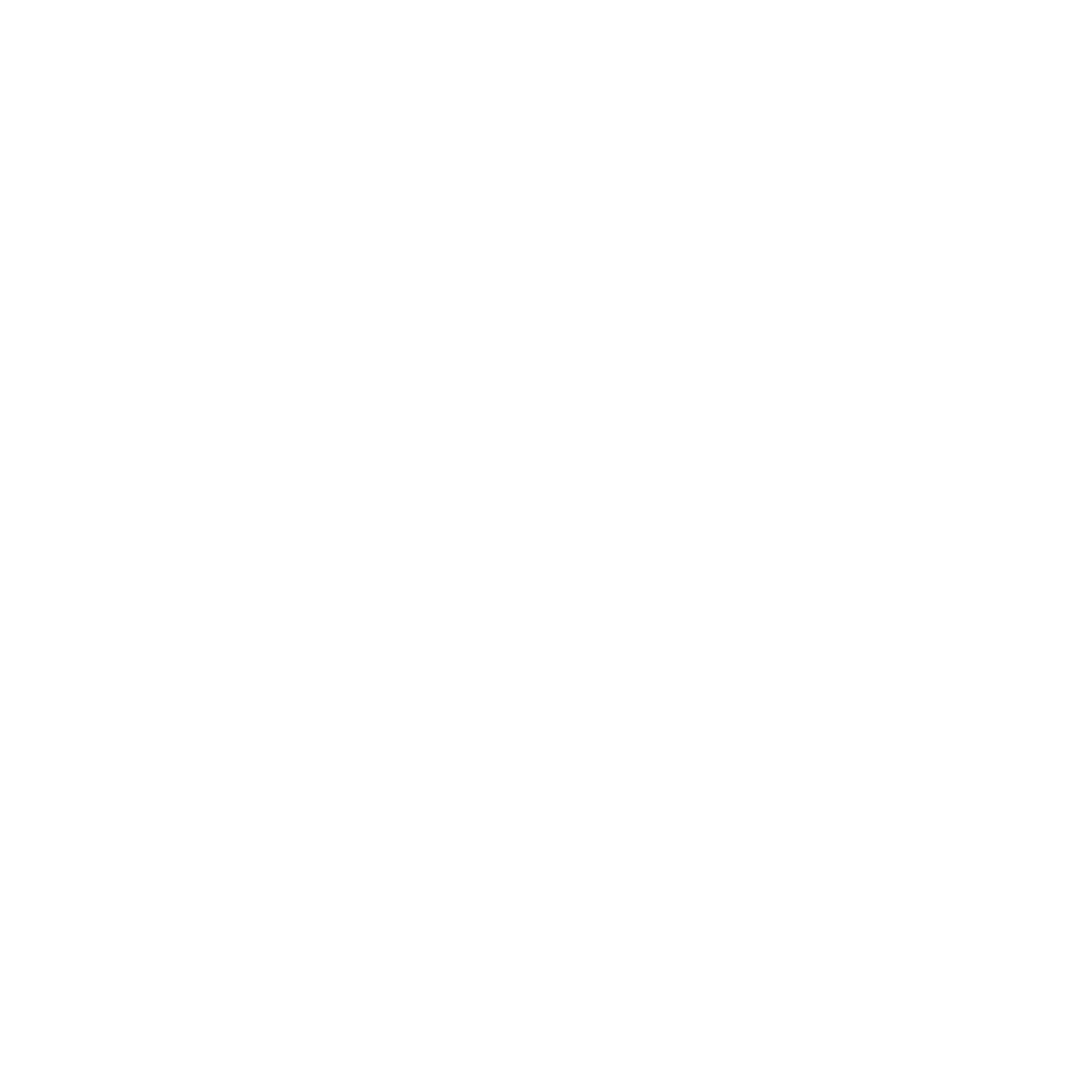 Sanjar Yunusov logo